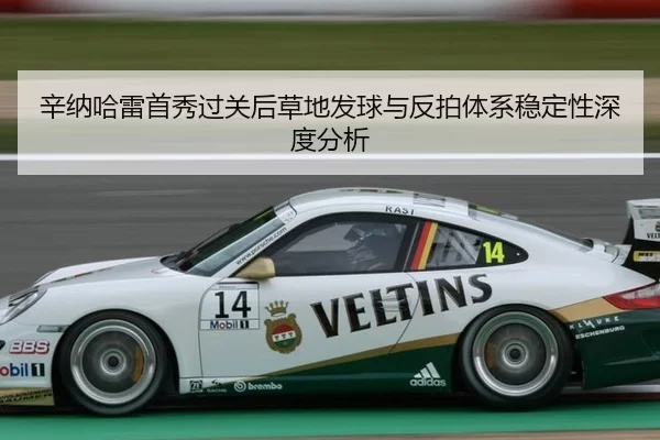 辛纳哈雷首秀过关后草地发球与反拍体系稳定性深度分析（kaiyun app）